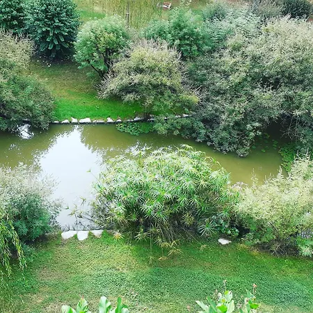 Hébergement de vacances Aradia Casa A Tema Celtico Magico Naturalistico Del Casale Labandita