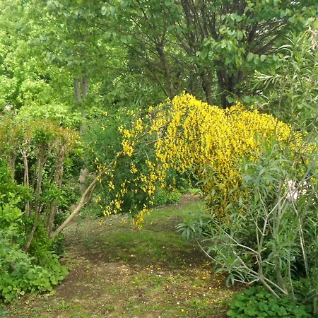 Aradia Casa A Tema Celtico Magico Naturalistico Del Casale Labandita Дом отдыха