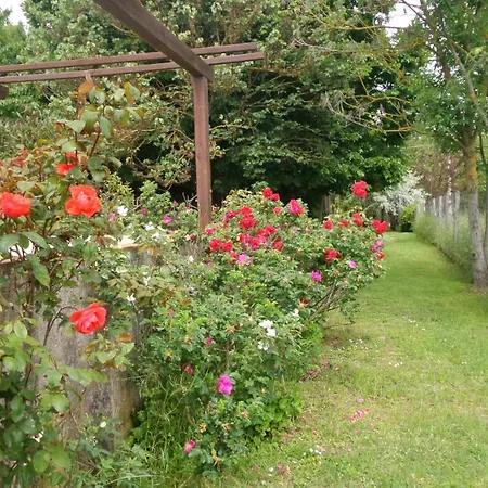 Aradia Casa A Tema Celtico Magico Naturalistico Del Casale Labandita Дом отдыха *