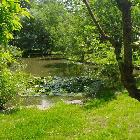 Aradia Casa A Tema Celtico Magico Naturalistico Del Casale Labandita Hébergement de vacances *