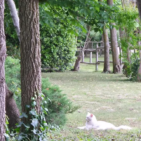 Aradia Casa A Tema Celtico Magico Naturalistico Del Casale Labandita Hébergement de vacances Castiglione del Lago