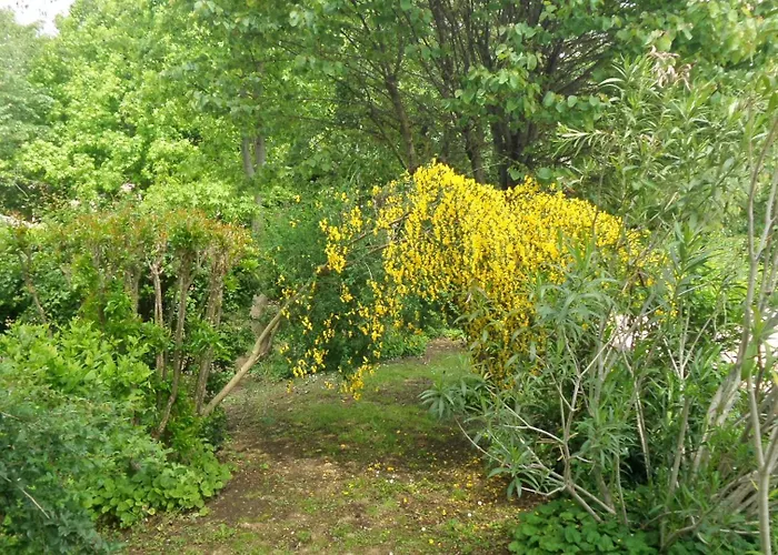 Aradia Casa A Tema Celtico Magico Naturalistico Del Casale Labandita Prázdninový dům