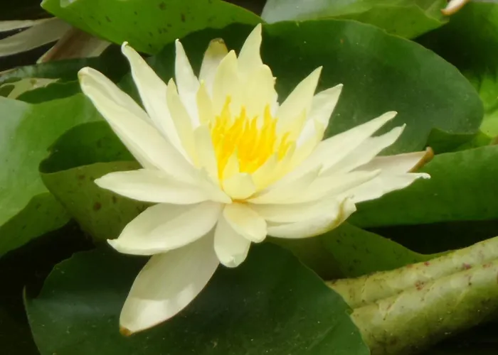 Aradia Casa A Tema Celtico Magico Naturalistico Del Casale Labandita Prázdninový dům