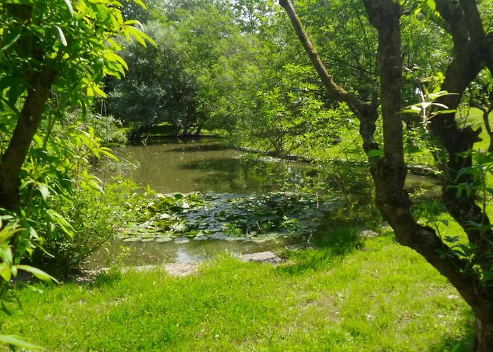 Aradia Casa A Tema Celtico Magico Naturalistico Del Casale Labandita Prázdninový dům *