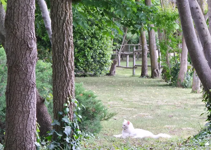 Aradia Casa A Tema Celtico Magico Naturalistico Del Casale Labandita Prázdninový dům Castiglione del Lago
